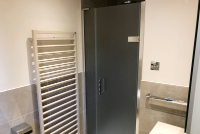 Towel rail and shower door